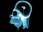 An x-ray of Homer Simpson's brain